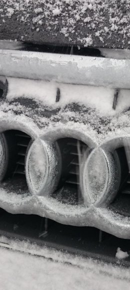 Audi Snow (1).jpg