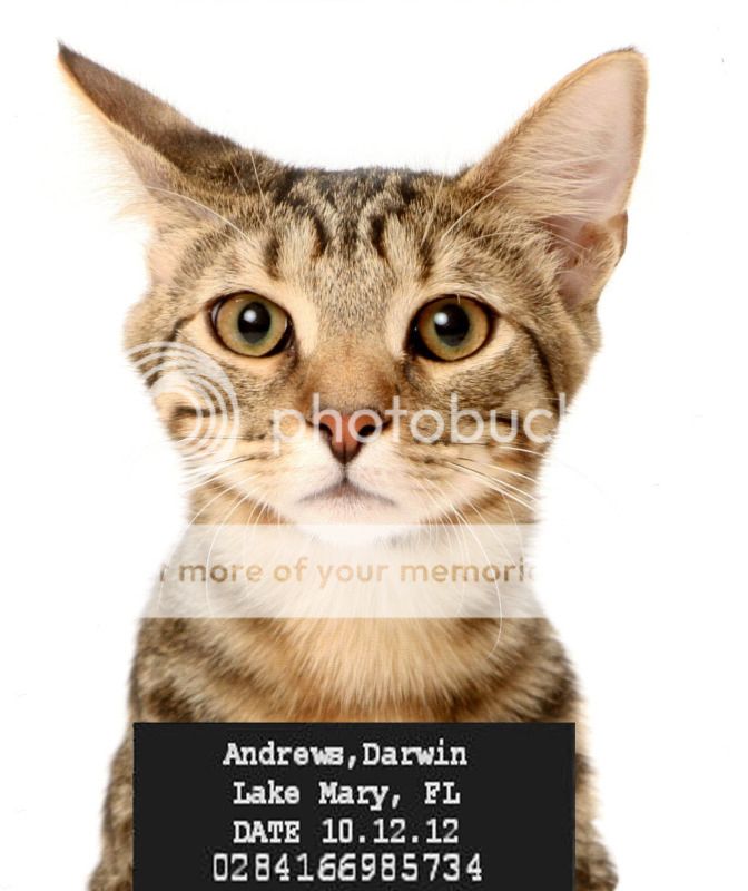 Darwin-Mugshot.jpg